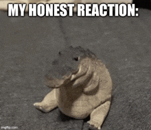 Greg the croc reacting